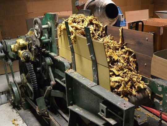 Nielegalna fabryka tytoniu. Prawie tona krajanki i spirytus bez akcyzy