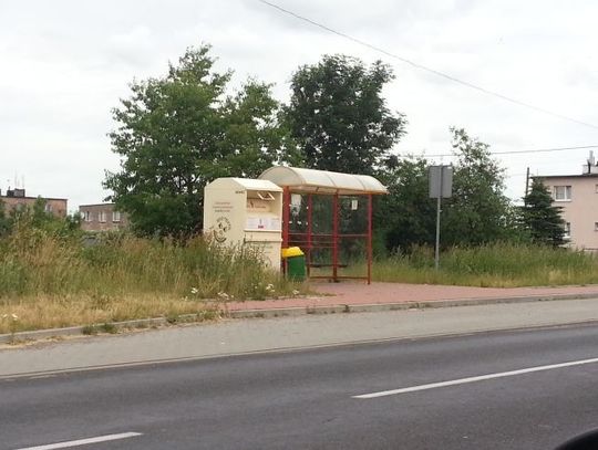 Nielegalne kontenery na odzież - nareszcie sprawa będzie uporządkowana