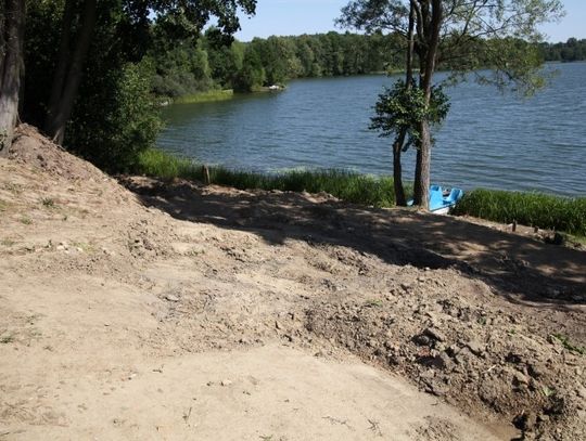 Nielegalne prace oraz wycinka drzew