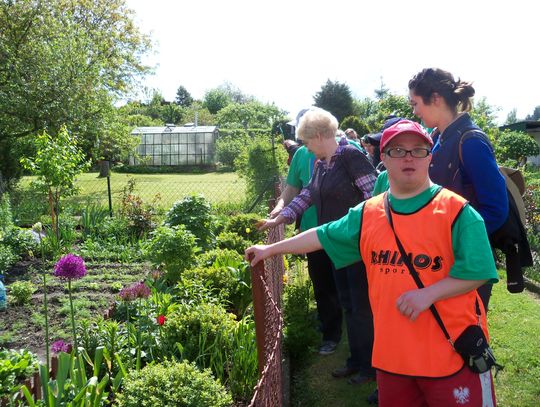 Niepełnosprawni odwiedzili tczewskie ogrody działkowe