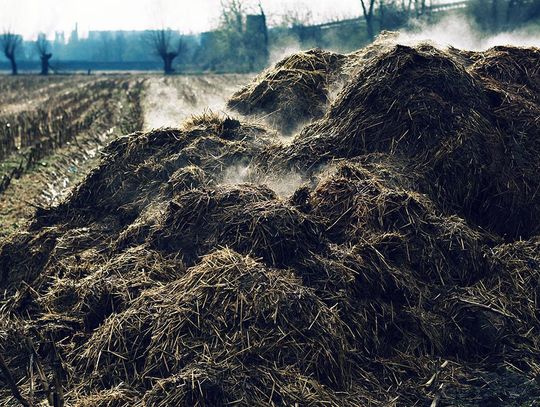 Nieświadome działanie, czy celowe uprzykrzanie życia? 
