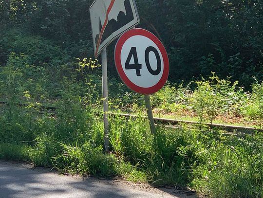 Pijany kierowca jechał 95 km/h. Uderzył w znak drogowy. Będzie wysoka grzywna...