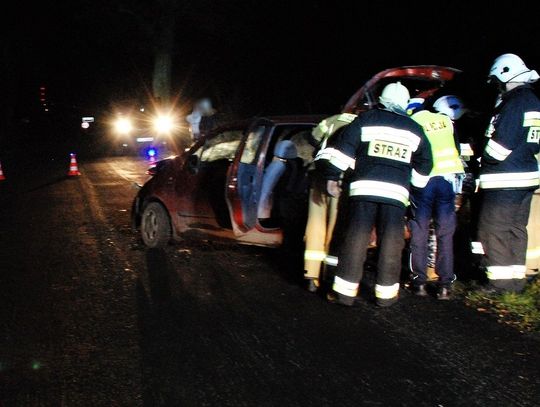 Nietrzeźwy kierowca uderzył w drzewo