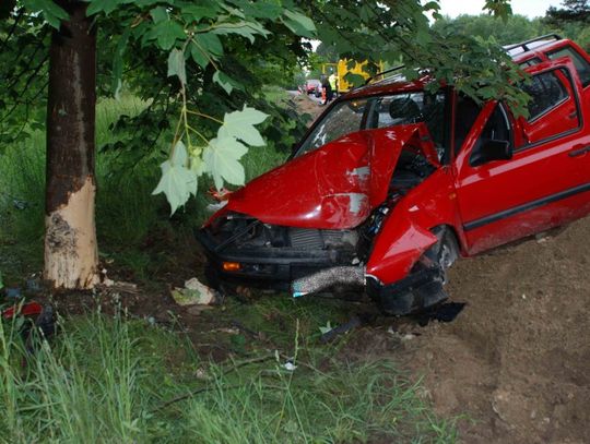 Nieuwaga z finałem na drzewie