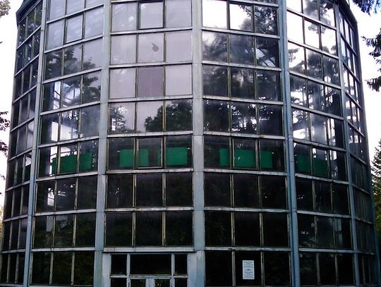 Nocą do palmiarni w Parku Oliwskim Nocą do palmiarni w Parku Oliwskim