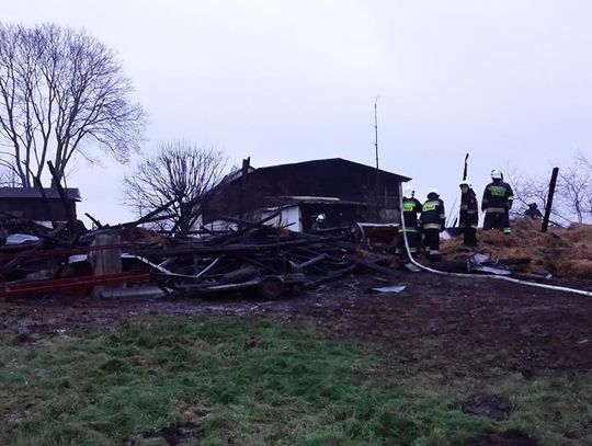 NOWE fakty w sprawie pożarów. Podejrzany o podpalenie trafił  do Izby Dziecka