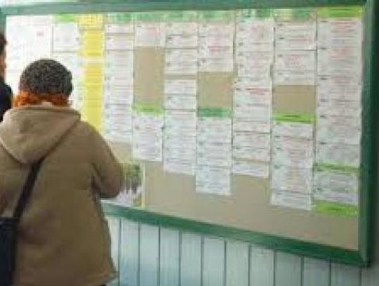 Nowe oferty pracy  - sprawdź w jakich zawodach poszukiwani są pracownicy