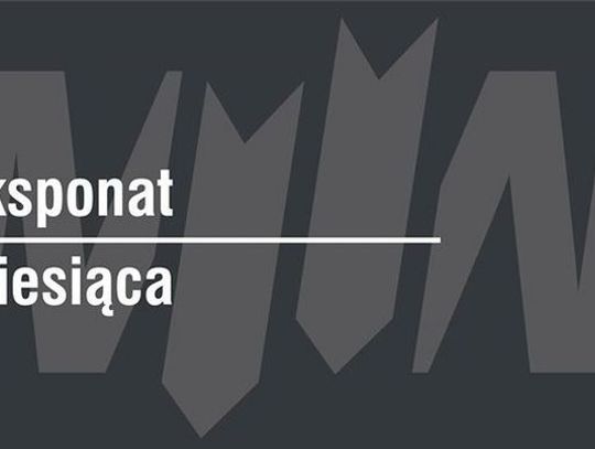 Nowy eksponat miesiąca w MIIWŚ