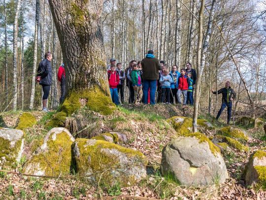 O pomorskim Stonehenge w gminie Potęgowo podczas konferencji naukowej