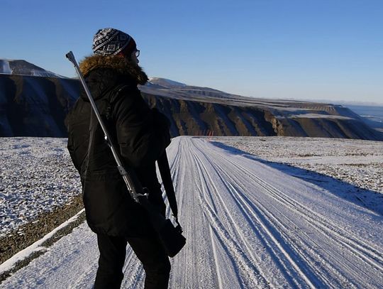 Ochroniarz broni gości przed niedźwiedziami