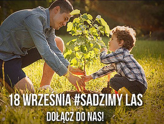 Odbierz darmową sadzonkę i przyłącz się do akcji SadziMY 