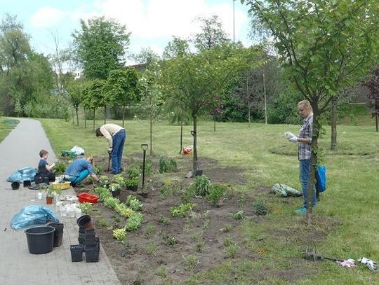 Odrobina magii w prawdziwym świecie. Powstała pierwsza „Motylówka” – hotel i jadłodajnia dla motyli 