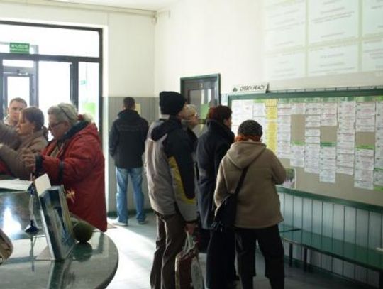 Oferty pracy w Powiatowym Urzędzie Pracy w Starogardzie Gdańskim