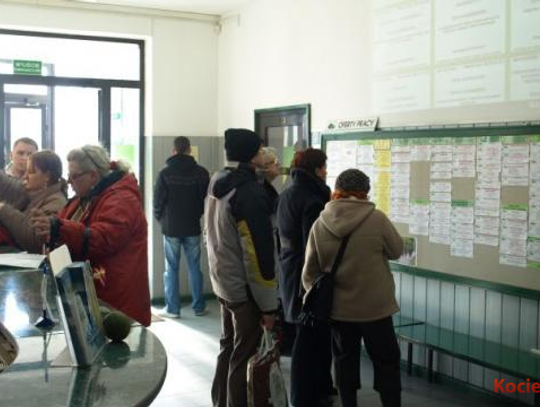 Oferty pracy w Powiatowym Urzędzie Pracy w Starogardzie Gdańskim