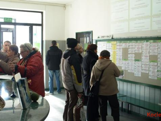 Oferty pracy w Powiatowym Urzędzie Pracy w Starogardzie Gdańskim