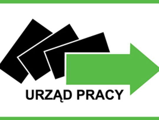 Oferty Urzędu Pracy w Malborku