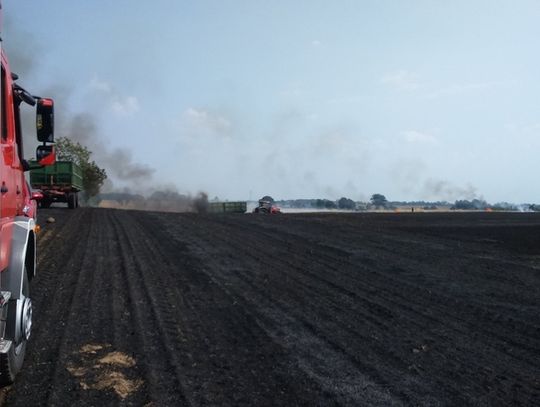 Ogień strawił hektary zboża. Straty są ogromne 