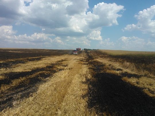 Ogień strawił zboże