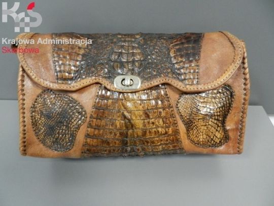 Okazy CITES przechwycone przez pomorską KAS