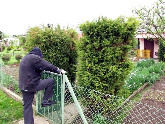 Okradał działkowców i niszczył ich altany