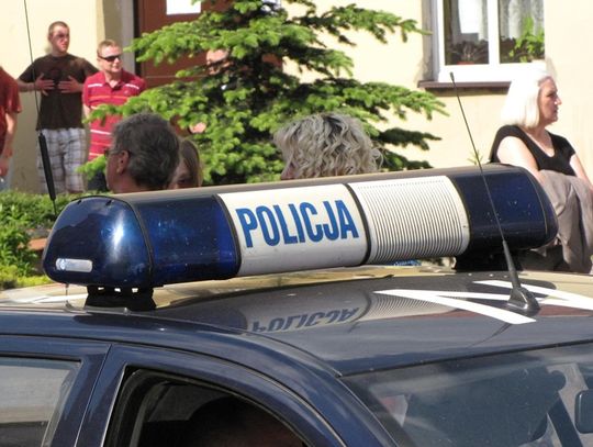 Okradali swojego pracodawcę