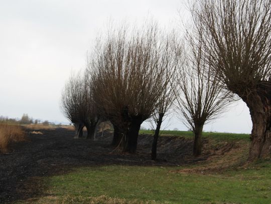 Olbrzymi pożar użytku ekologicznego. Ogień zagrażał ludziom