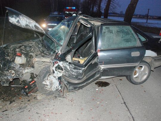 Oplem w drzewo, bez "prawka"