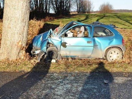 Oplem w drzewo, zginęła 20-letnia dziewczyna