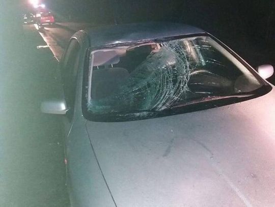 Oślepiony światłami samochodu z naprzeciwka uderzył w pieszego 