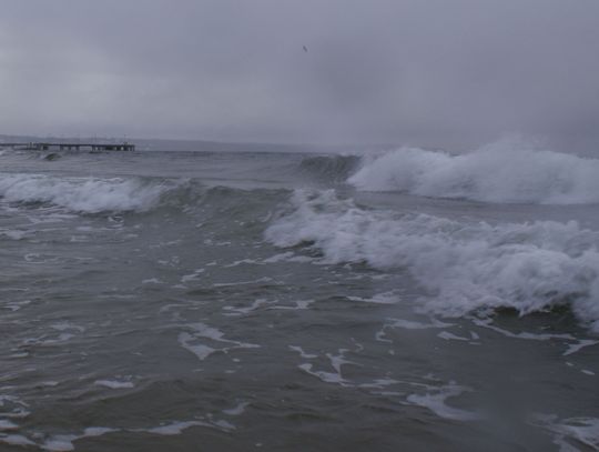 Ostre wianie na Pomorzu