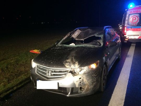 Oto skutki zderzenia z sarną! Jedna osoba ranna w wypadku na "jedynce"