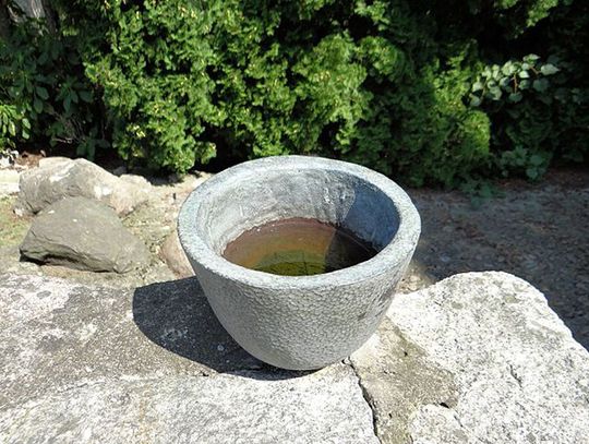 Ozdoby z betonu - jak wykonać świecznik, doniczkę i wazon?