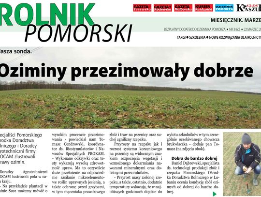 Oziminy w dobrej kondycji. Wiosenny (60) numer Rolnika Pomorskiego