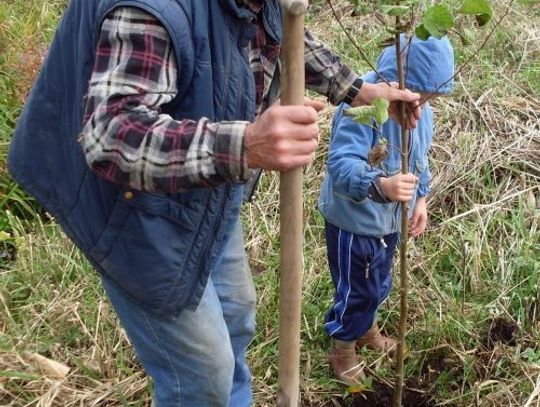 Pączewski Dzień Drzewa 2008