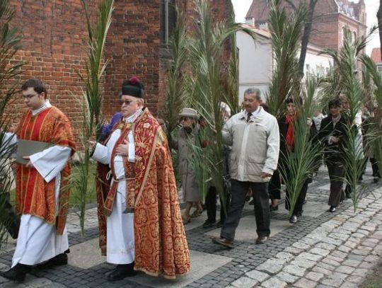 Palmy z Wiecznego Miasta