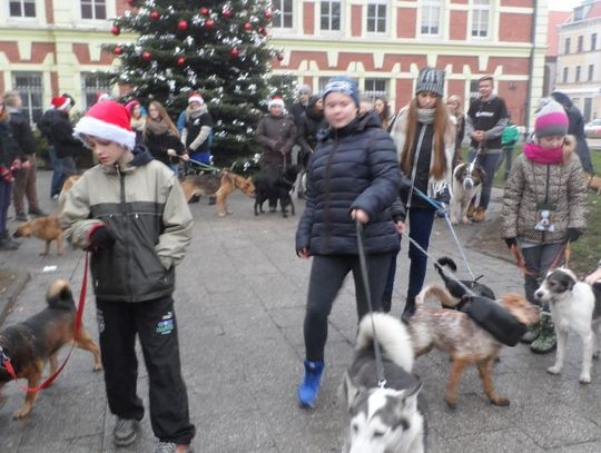Pamietają o zwierzętach - Mikołajkowy "Spacer przyjaźni"