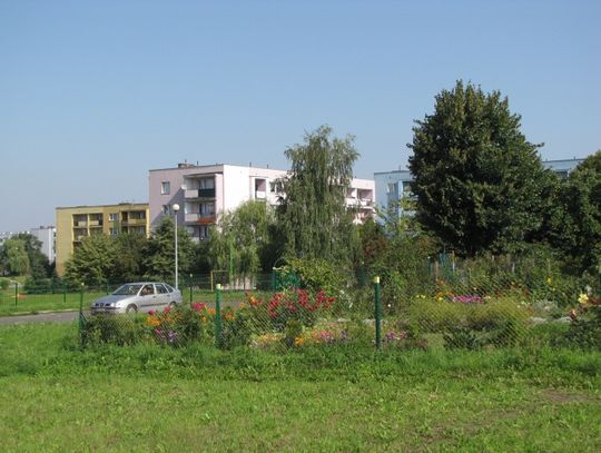 Petycja do prezydenta. Chcą zieleni zamiast hałasu i spalin - drogowe emocje