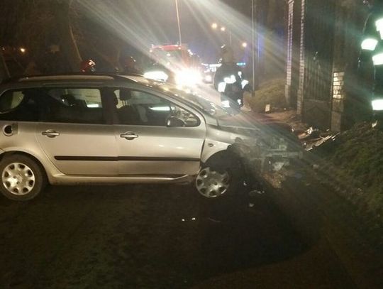 Peugeot uderzył w słup