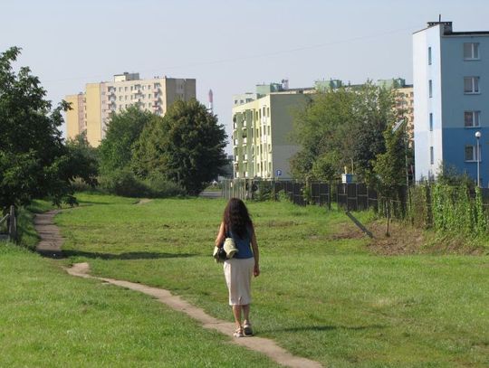 Pięć razy mniej na dziurawe drogi. Cienkie rządowe „schetynówki”