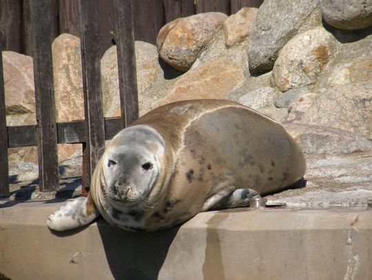 Piękna nasza Polska cała 