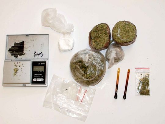 Pies wyniuchał w piecu narkotyki