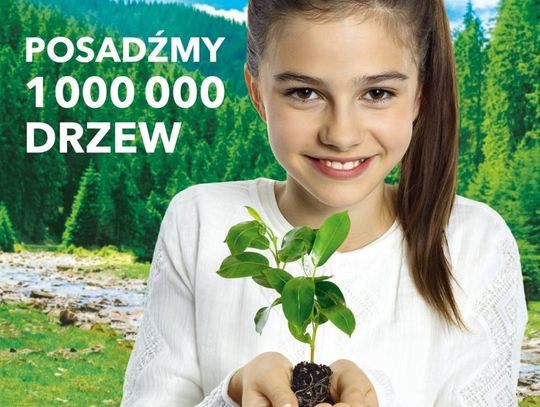 Piknik ,,Po stronie natury” już 3-4 czerwca na Targu Węglowym w Gdańsku!