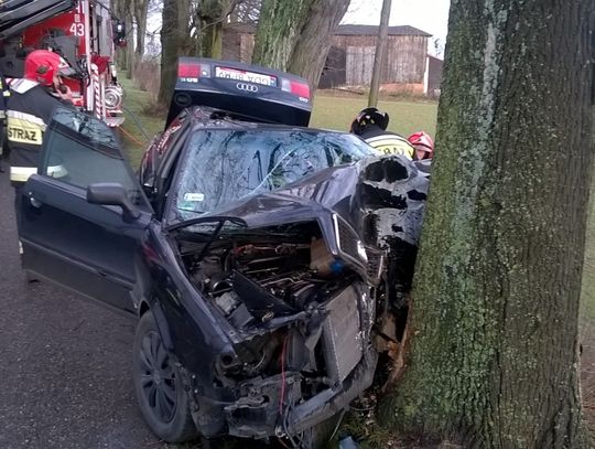 PILNE. Audi uderzyło w drzewo. Podróżowała kobieta z dzieckiem