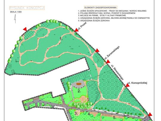 Plany rewitalizacyjne w Pelplinie. Amfiteatr, odnowa terenów rekreacyjnych, w tym lasku przy ul. Pólko