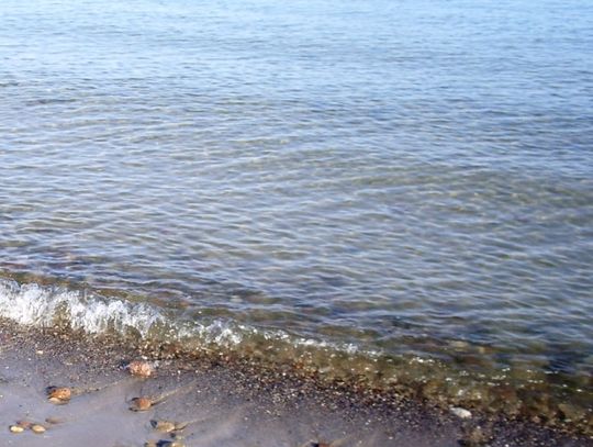 Plaże w Orłowie i Sopocie zagrożone sinicami