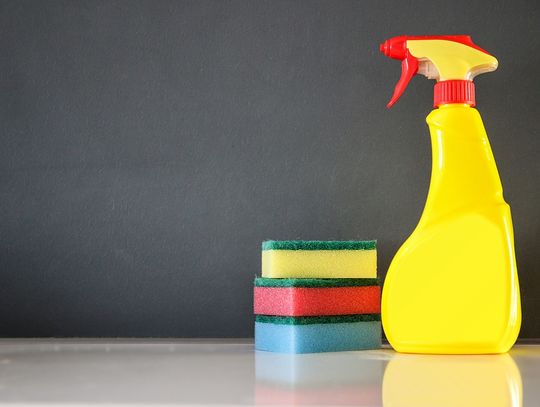 Pleśń i wilgoć w domu – co robić?