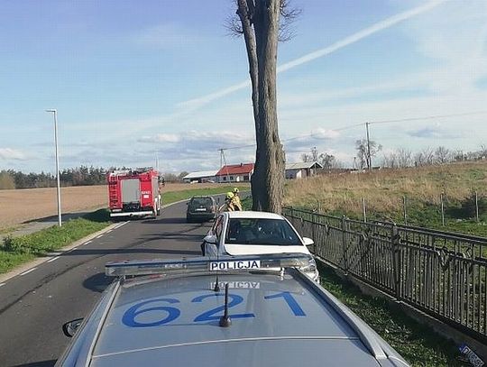 Płonące nieużytki i APEL O NIEWYPALANIE TRAW. Poważny wypadek w Mikołajkach Pomorskich. KRONIKA STRAŻACKA 27-30.04.2022