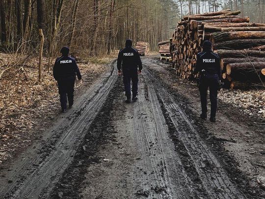 Pobiegli za psem, który się spłoszył, ale zgubili się w lesie