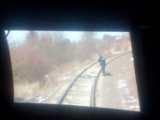 Pociąg śmiertelnie potrącił człowieka pod Kwidzynem