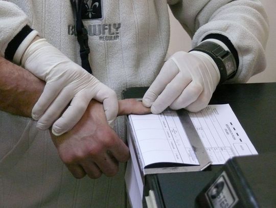 Podejrzany o brutalne zabójstwo w areszcie